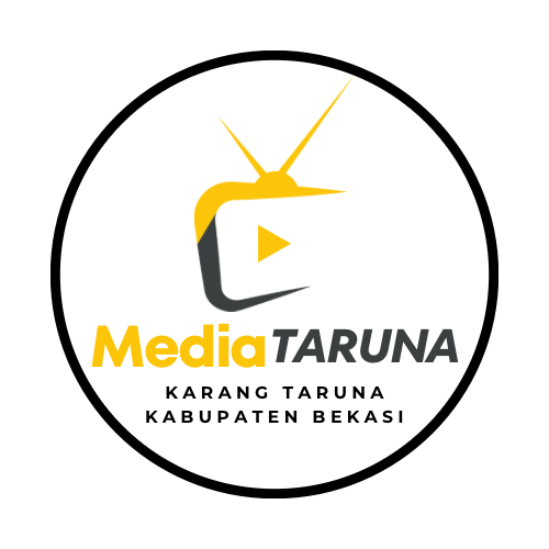 3. Media